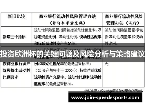 投资欧洲杯的关键问题及风险分析与策略建议