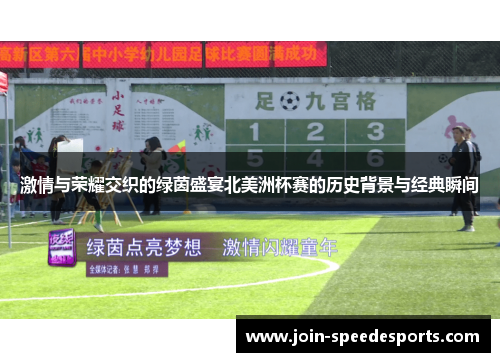 激情与荣耀交织的绿茵盛宴北美洲杯赛的历史背景与经典瞬间