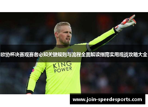 欧协杯决赛观赛者必知关键规则与流程全面解读指南实用观战攻略大全 欧协杯决赛观赛者必知关键规则与流程全面解读指南实用观战攻略大全