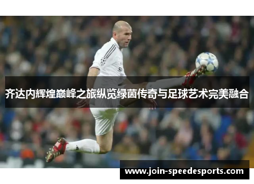 齐达内辉煌巅峰之旅纵览绿茵传奇与足球艺术完美融合